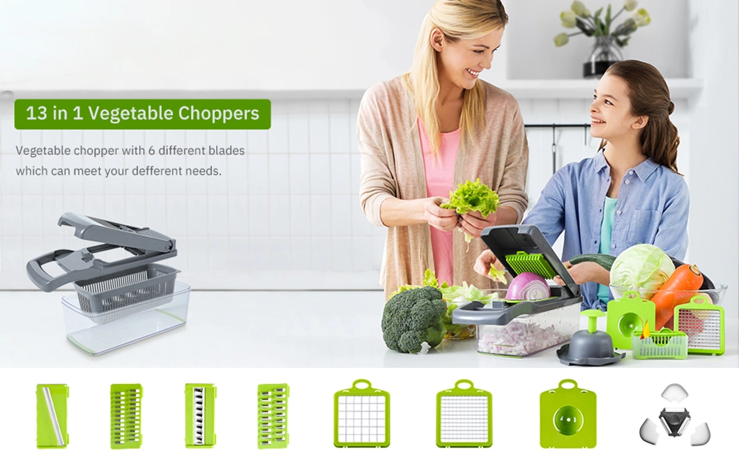 Vegetable Chopper 14 in 1multifunctional Food Chopper Kitchen Vegetable Slicer Dicer Cutter with Container Veggie Chopper with 8 Blades