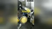 Industrial Commercial Fruit Juicer / Juice Extractor / Orange Juicer